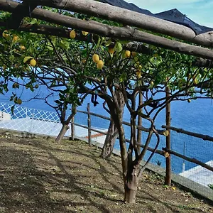 Chez Amelie Amalfi